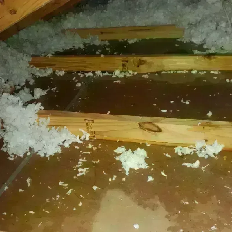 Attic Water Damage in Beaverton, MI