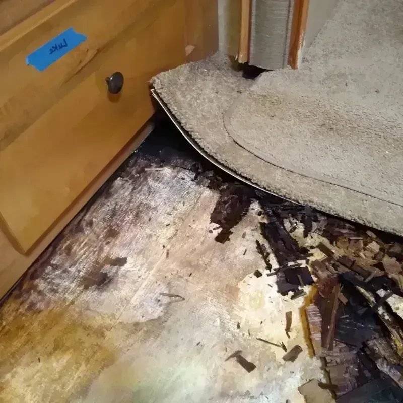 Wood Floor Water Damage in Beaverton, MI